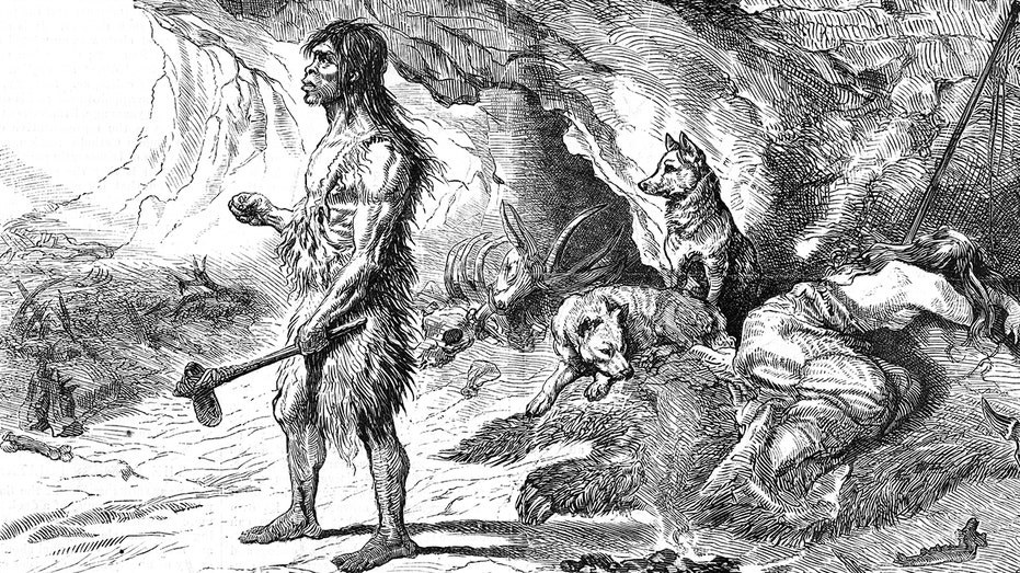 Dogs were 'loyal companions to Ice Age hunters' far earlier than believed, study finds Education Sydney